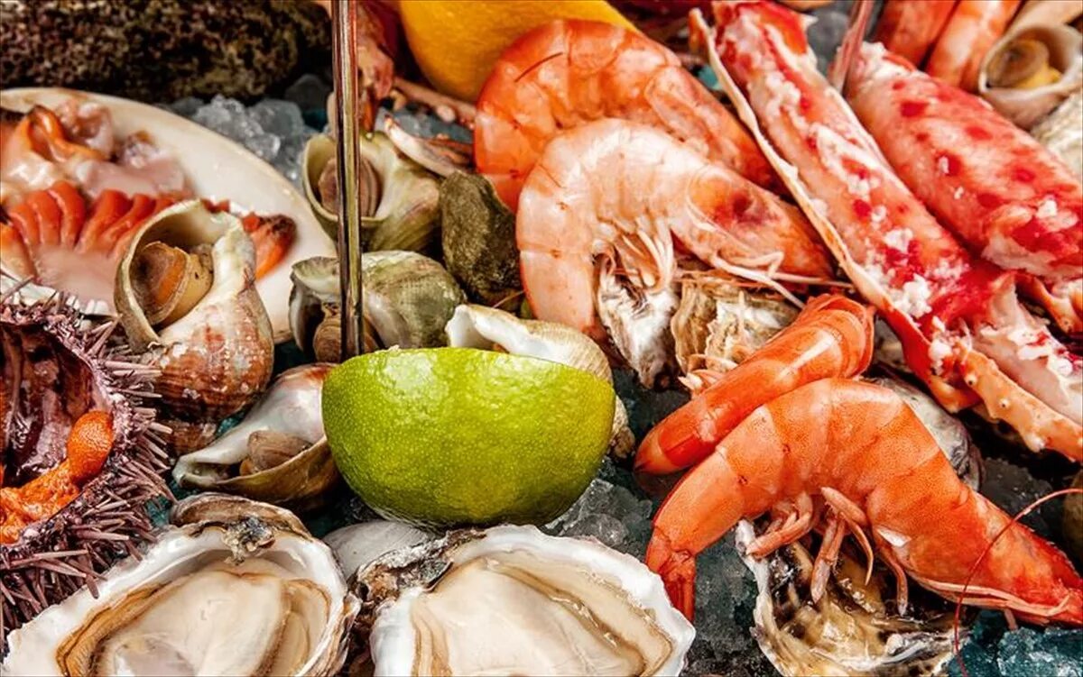 Нерыбное сырье. Устрицы, лангусты, омары. Морские морепродукты. Классификация нерыбного водного сырья. Морской гребешок рыба.