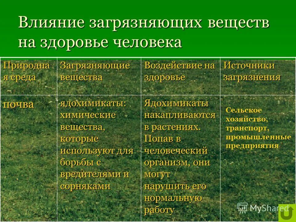 Как поступают загрязняющие вещества в организм человека. Загрязняющие вещества влияющие на здоровье человека. Пути поступления загрязняющих веществ в организм человека. Поступление загрязняющих веществ в организм человека. Как поступают загрязняющие вещества в организм человека.