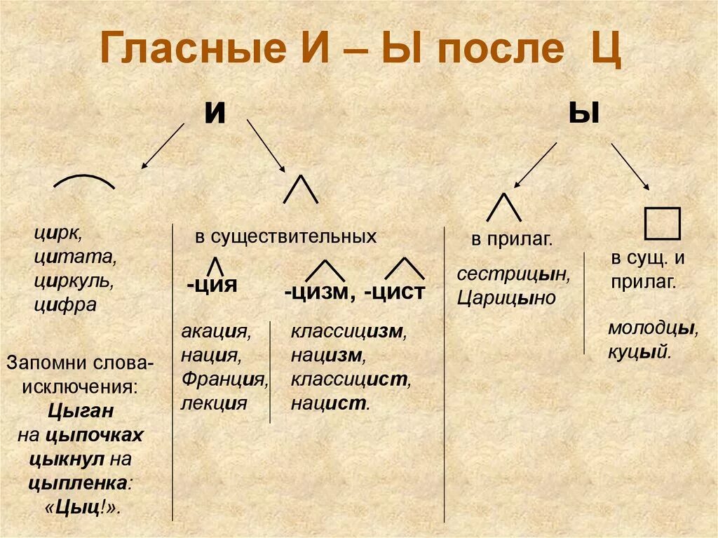 Орфограммы и ы после ц