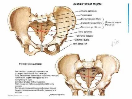 Бір құрбым менің әйелімді қателесіп, оны сиқырлады