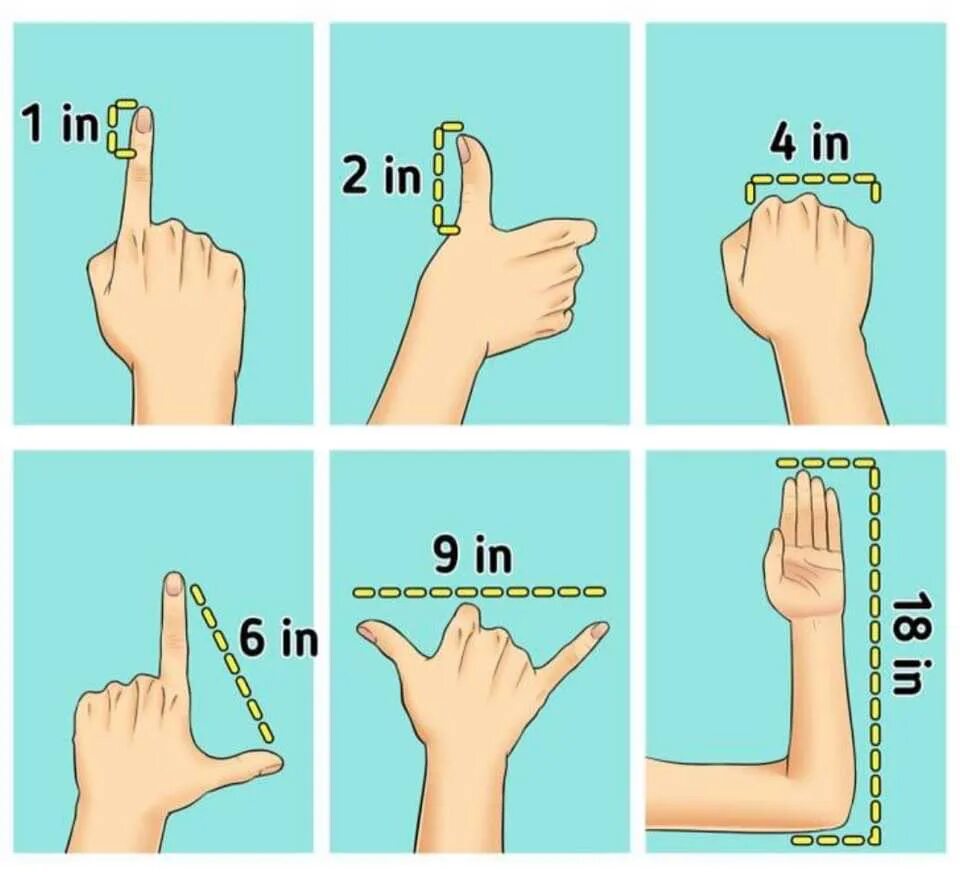 Сколько сантиметров рука. Как измерить без линейки. Как узнать сколько сантиметров без линейки. Как измерить 10 см без линейки. Как отмерить метр без линейки.