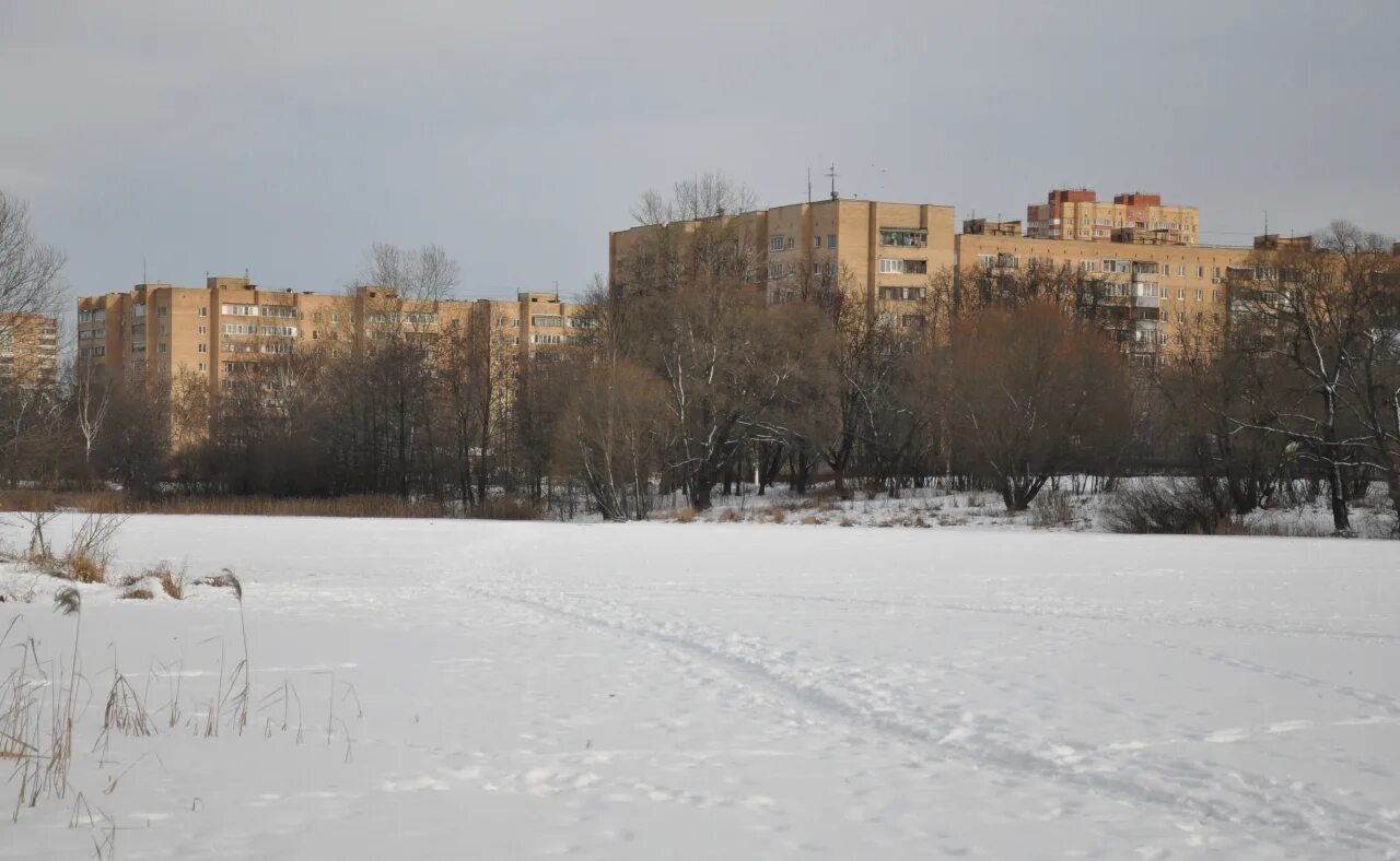 Парк в заре. Парк заря балашиха. парк заречная балашиха. балашиха зимой.