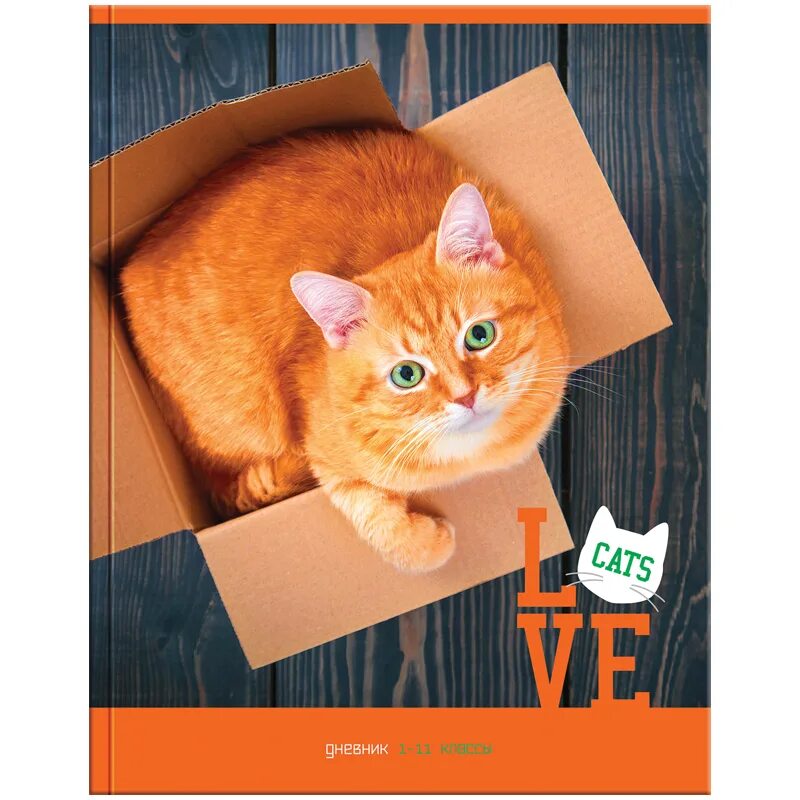 Aurora игрушка мягкая котик рыжий 22см. Наволочка рыжий котенок. Рыжий кот картина. Подушка рыжий кот. Gulliver мягкая кукла дынька 30 см.