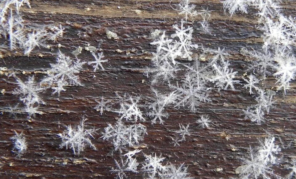 Как выглядит снег под микроскопом Pin by Luis José García on Estrellas Snowflakes real, Snowflake wallpaper, Macro