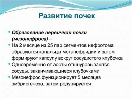 Почечные источники