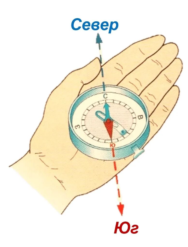 Компас для ориентирования. Компас направление стрелок