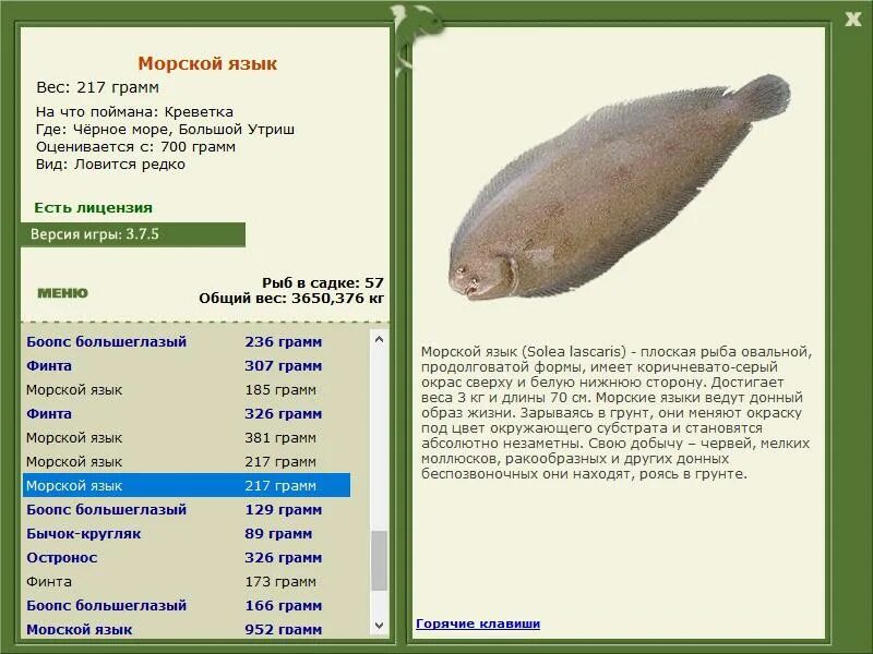 6 класс русский язык рыб. Морской язык рыба. Морской язык калорийность. Калории в морском языке рыба. Рыба продолговатой формы.