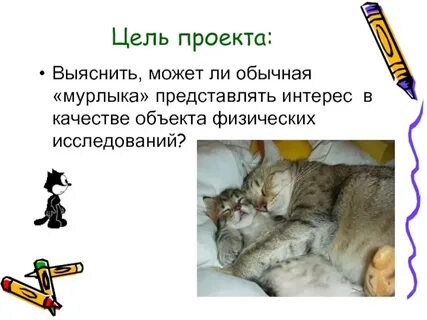 Цель кошка