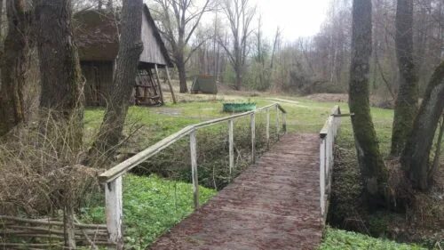 Каменский хутор климовский. Хоромное Климовский район Брянская область. Каменский Хутор Климовского района Брянской области. Брянская область Климовский район село Каменский Хутор. Село Хоромное.