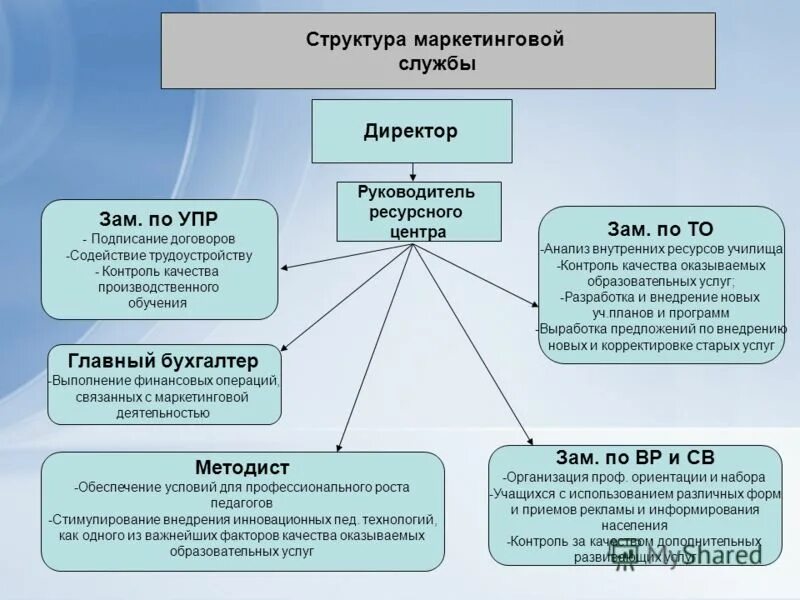 Структура маркетинговой службы