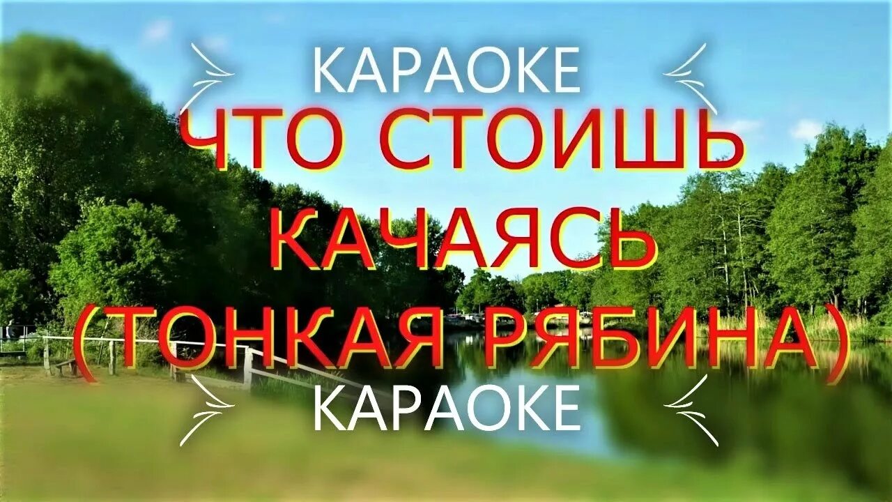 Тонкая рябина караоке. Тонкая рябина караоке со словами. Что стоишь качаясь тонкая караоке. Песня что стоишь качаясь тонкая рябина караоке.