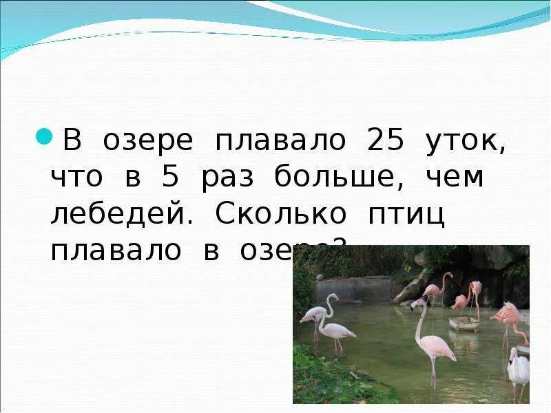 Задача сколько было уток. Задача по математике про уток и гусей. сколько на 5 уток. задача на озере плавали 6 уток. лебедь задания.