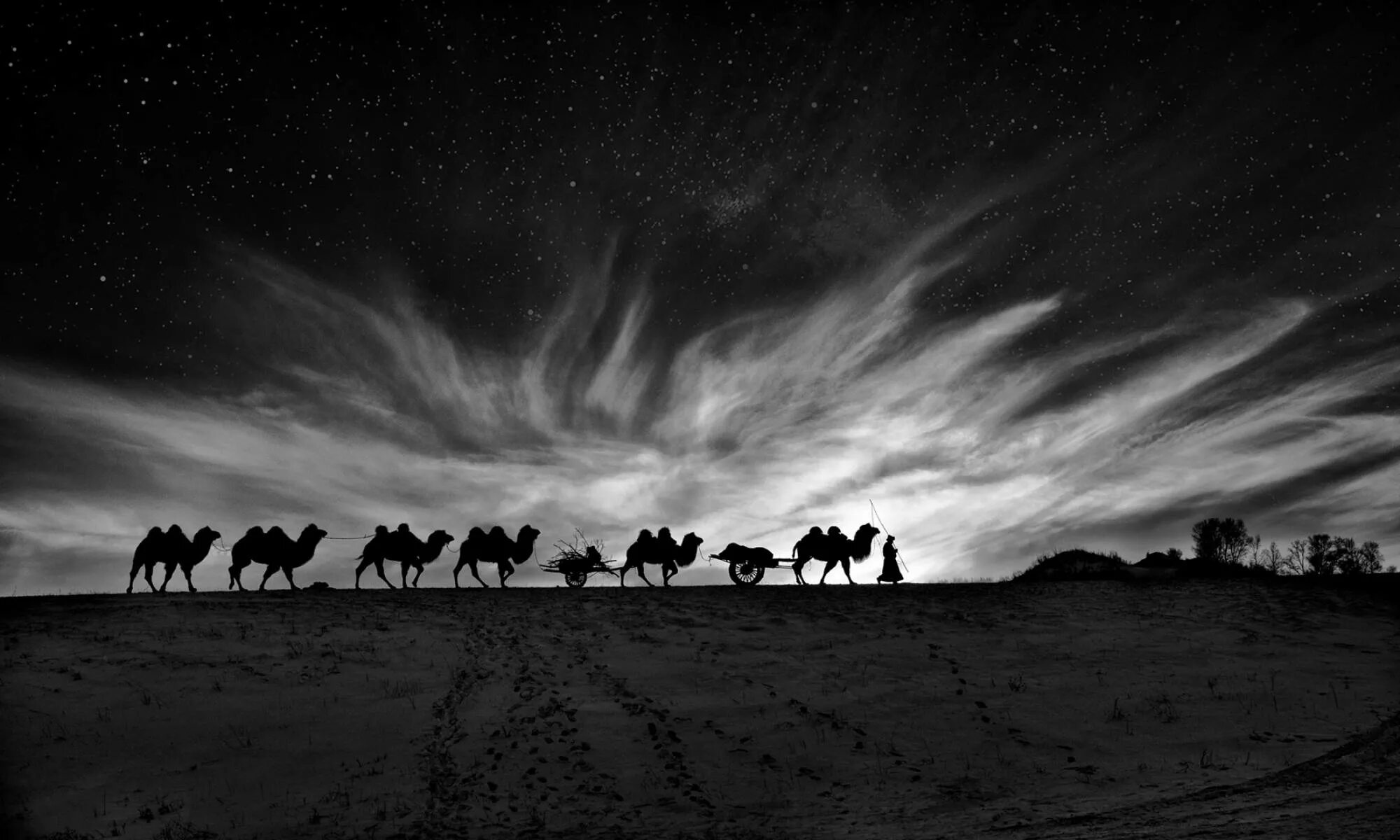 Ночной Караван в пустыне. Ночной Караван. Пустыня ночью. Караван ночью. Небо караван