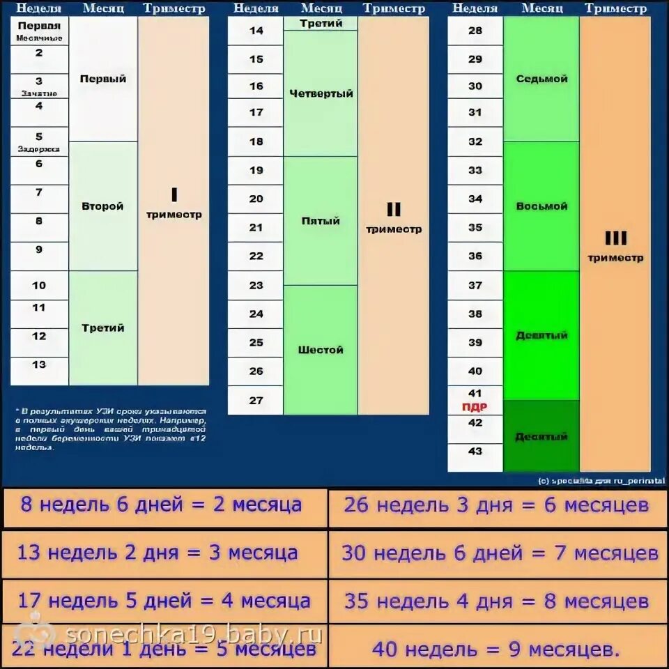 18 недель беременности это сколько месяцев. Первый второй третий триместр беременности по неделям. Триместры беременности по неделям и месяцам таблица. Первый и второй триместр беременности. 2 Триместр беременности недели.