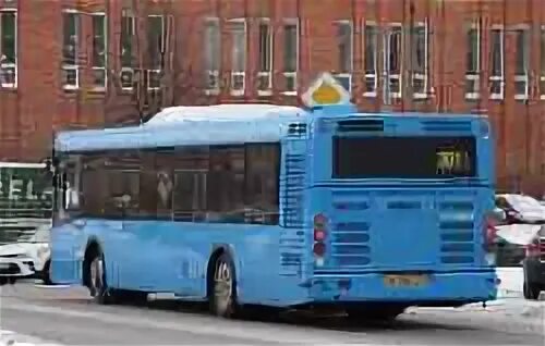967 автобус маршрут