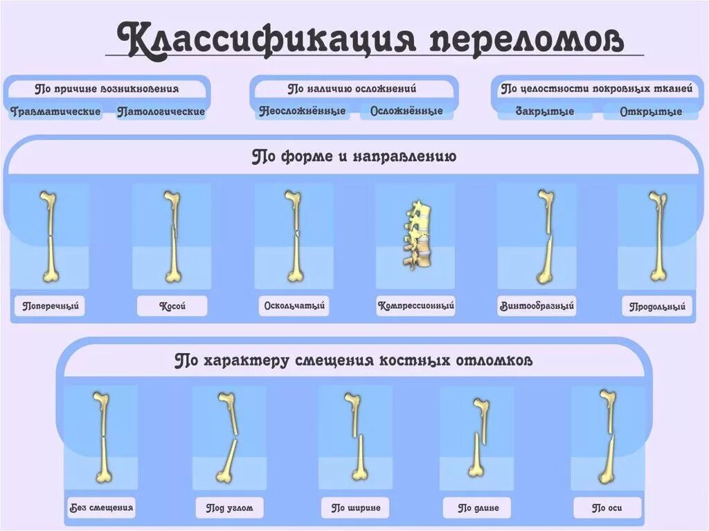 Температура после перелома. Смещение отломков при переломе классификация. Сращение костных отломков. Классификация переломов костей конечностей. Классификация смещений костных отломков.