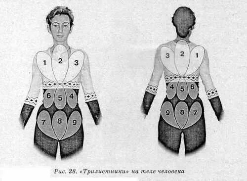 Норбеков октава. Хван система здоровья Норбекова. Упражнение трилистник по системе Норбекова. Упражнения Трилистники Норбеков. Трилистники в системе Норбекова.