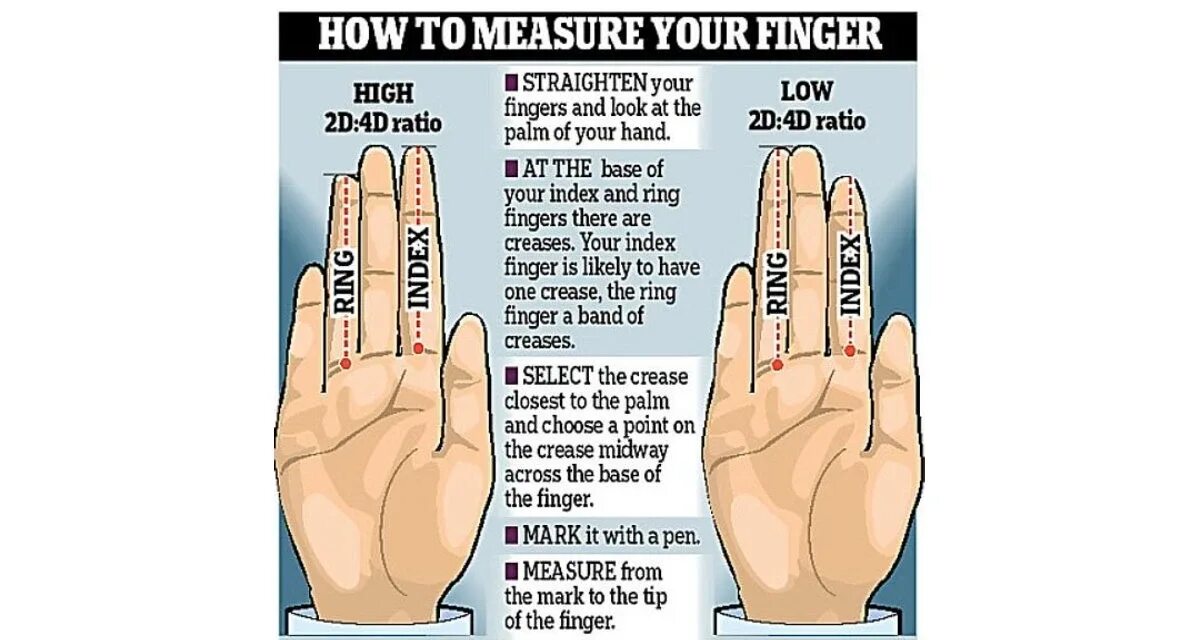Finger Size. What Ring finger represent?. Безымянный палец длинный секта. Ринг индекс.