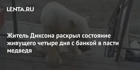 4 жив