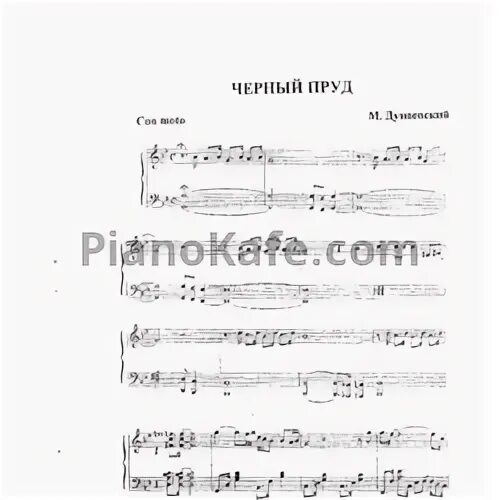 Песня есть черном парке пруд