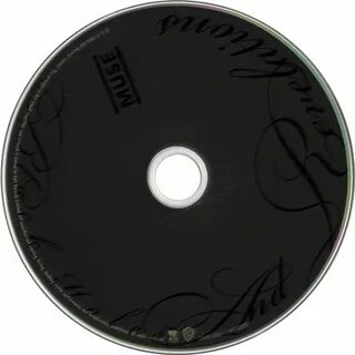 Muse hole перевод