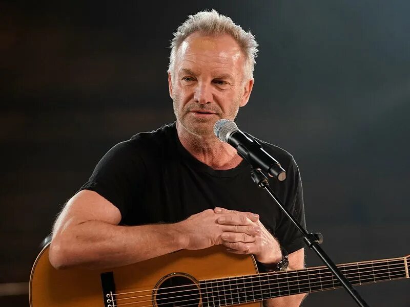 Sting mini. Sting mini