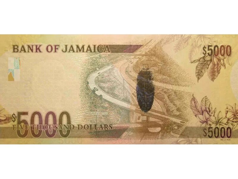 2010 долларов в рублях. Ямайка 1000 долларов. 5000 Долларов Ямайки. Банкноты Ямайки. ₽5000юбилейная.