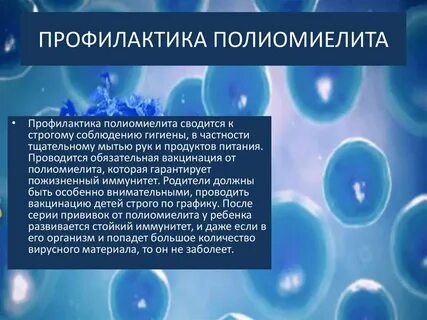 Меры профилактики полиомиелита