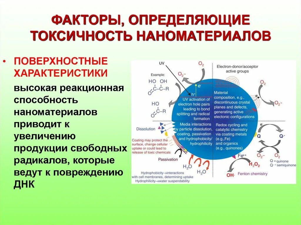 Факторы определяющие потенциал. Факторы влияющие на потенциал предприятия. Факторы повышающие потенциал здоровья взрослого населения. Зависимость электродного потенциала от концентрации. Инновационный потенциал и инновационная активность.