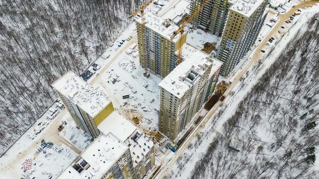 Жк лес новости. ЖК светлый мир сказочный лес. ЖК сказочный лес Лосиный остров. Лес ЖК Сокольники. ЖК лес Ясенево.