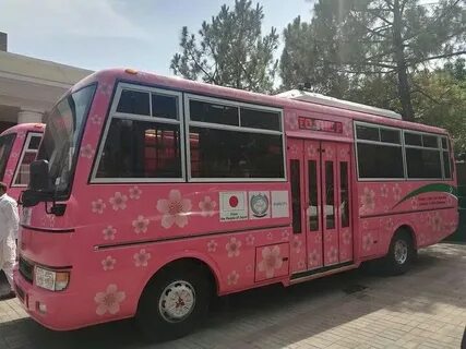 Pink bus