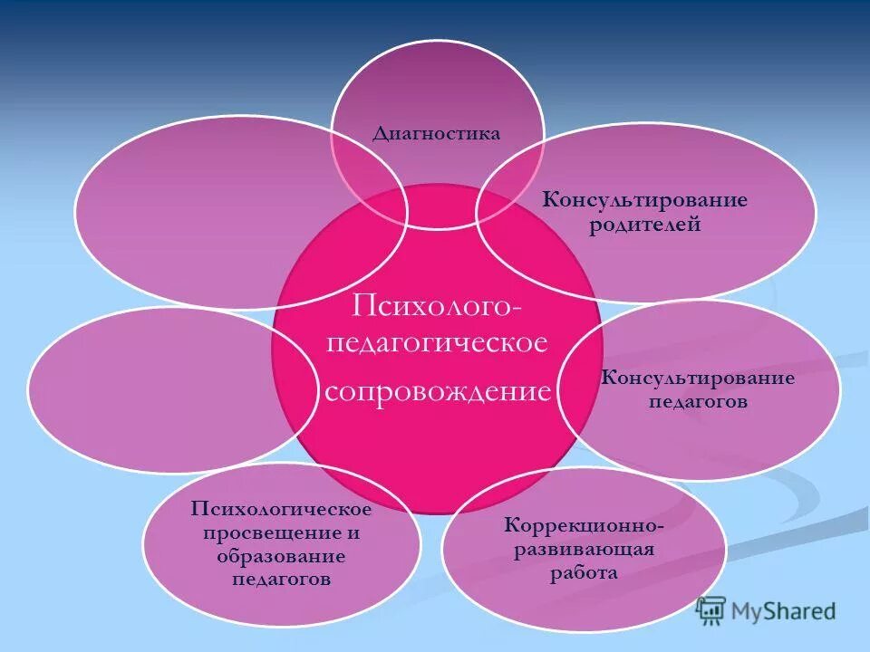 Педагогическое сопровождение аспекты. Психолого-педагогическое сопровождение детей с ЗПР. Развивающая и коррекционная работа педагога психолога. Психолого-педагогическое сопровождение дошкольника с ЗПР. Модель сопровождения детей с ЗПР.