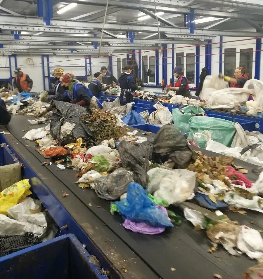Покажи сортировку