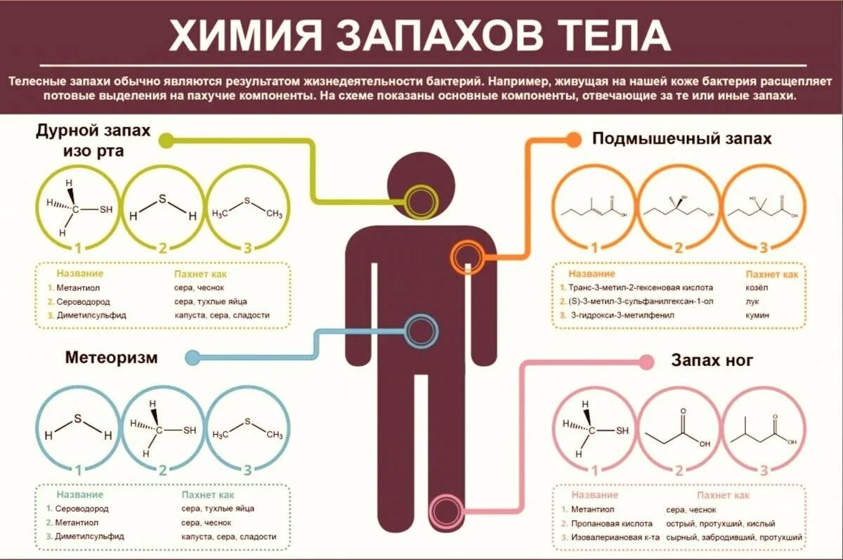 Запах тела человека. Запах тела запах. Причина запаха от тела человека. Запах тела и болезни человека. Неприятное название