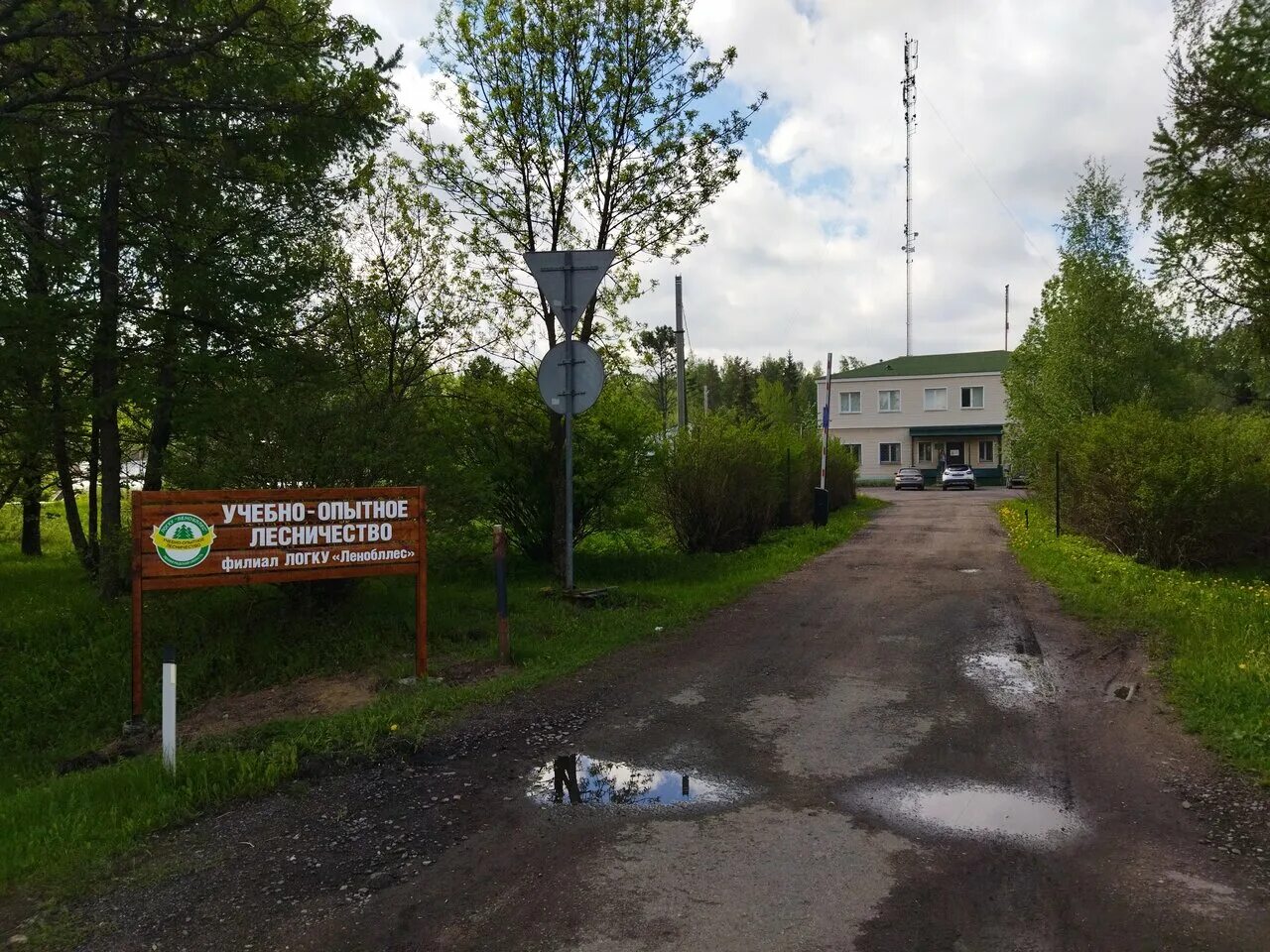 учебно-опытный лесхоз бгита деревья. учебно опытное лесничество. учебно-опытный лесхоз бгита экзоты. мероприятие в лесу. учебно опытное лесничество г п ульяновка.