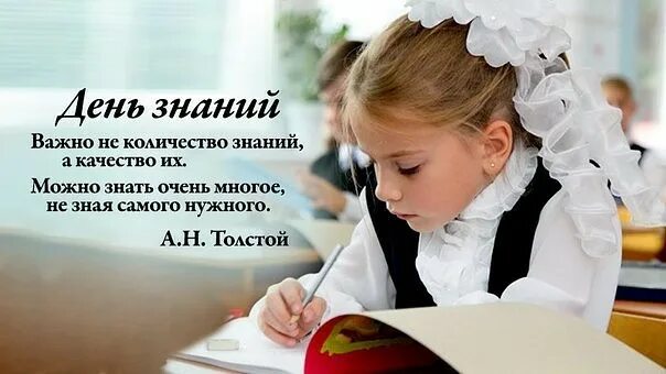 Цитаты первого класса. Корень учения горек а плод сладок. Цитаты про знания для детей. Цитаты для детей начальной школы. Цитаты про учителей начальных классов.