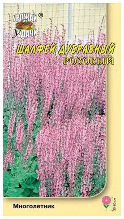 сальвия дубравная плюмоза. шалфей дубравный семена. сальвия дубравная (шалфей) плюмоза. сальвия дубравная семена. шалфей дубравный джилито.