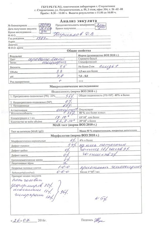 Mar test спермограмма что это. Mar тест спермограмма расшифровка норма. спермограмма с мартестом.
