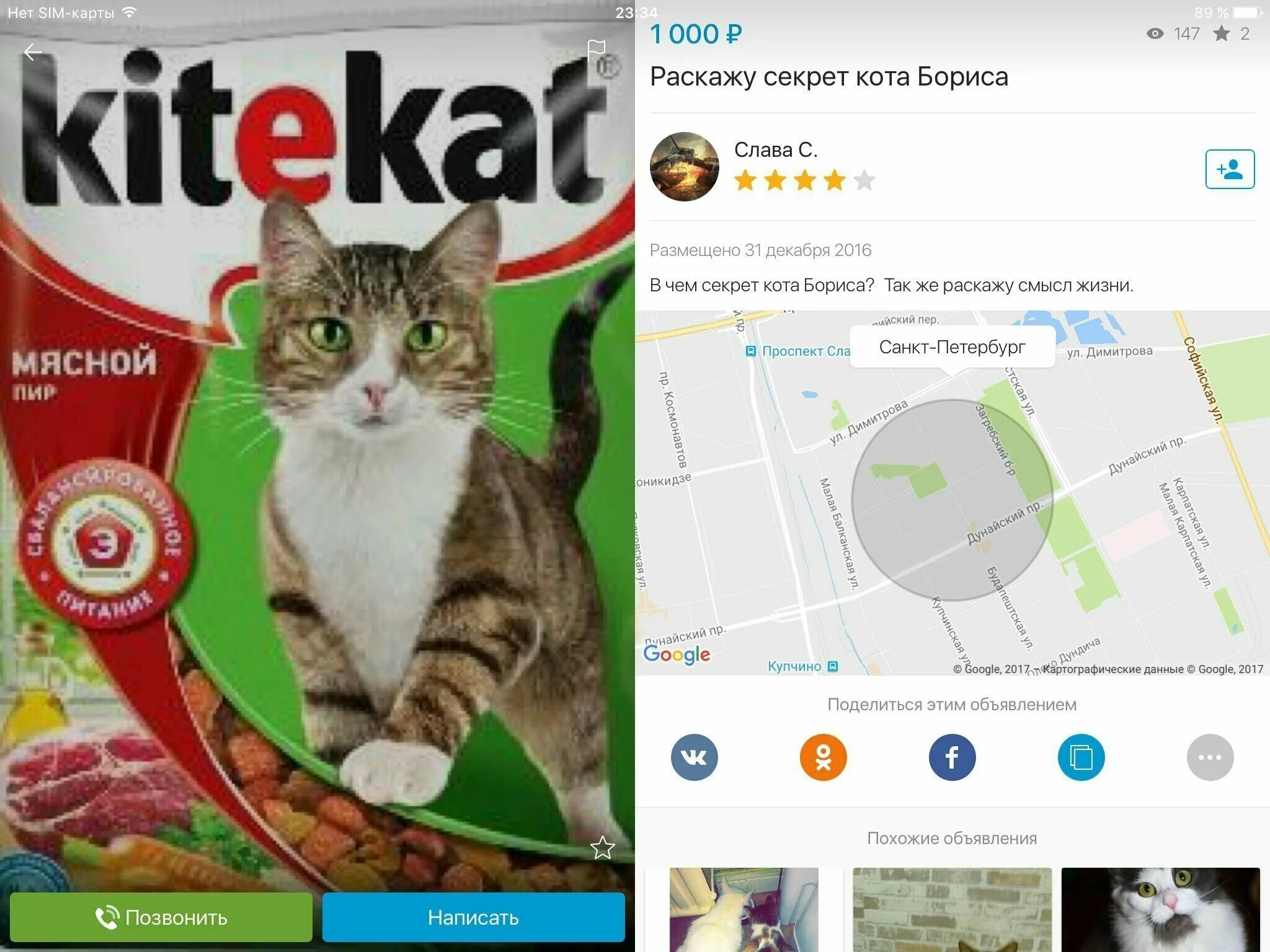 Мемы про кота бориса. Секрет бодрости кота бориса. Энергия кота бориса. Секрет энергии кота бориса. В чем секрет кота бориса.