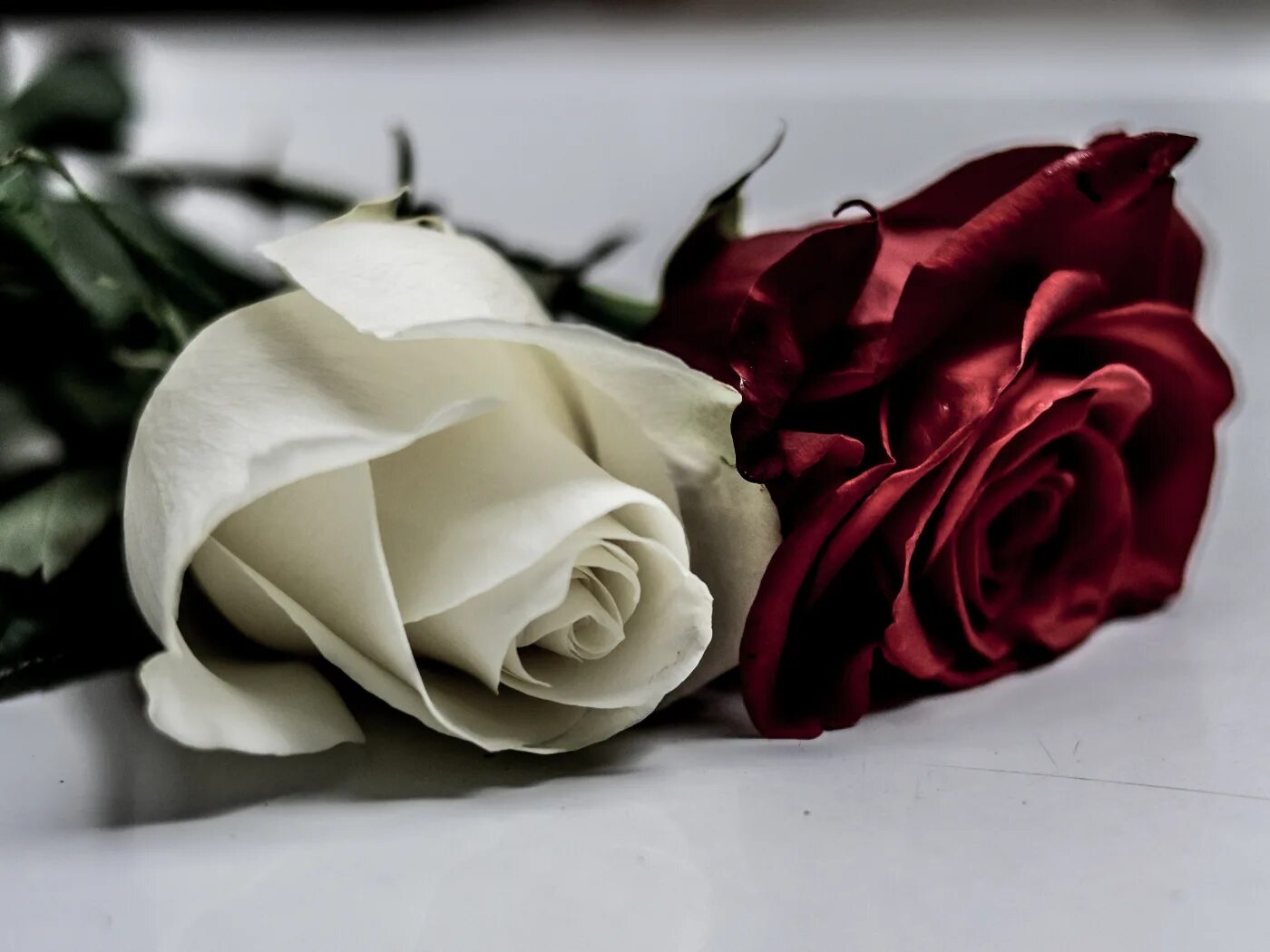 2 розы гарвуд джулия. Перед воротами эдема две розы пышно расцвели. Читать две розы. Читать две розы. Книга две розы (гарвуд джулия).