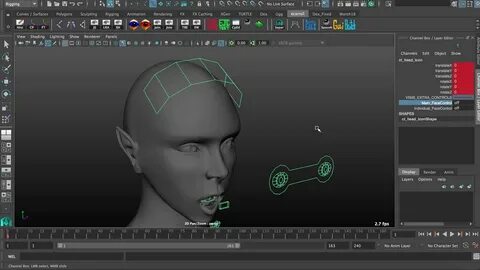 Face rigging