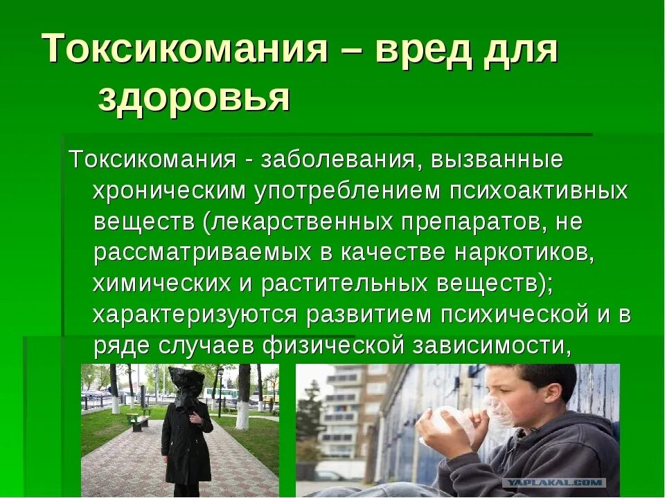 Какой вред получает человек. Влияние токсикомании на организм человека. Влияние токсикомании на организм человека кратко. Токсикомания влияние на человека.