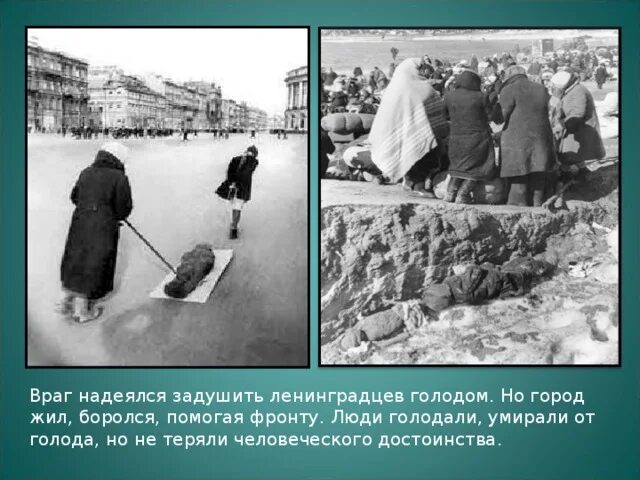 Блокада не помогла. Фото жизнь ленинградцев. Фотография гуляющих ленинградцы. Как жили ленинградцы в блокаду.