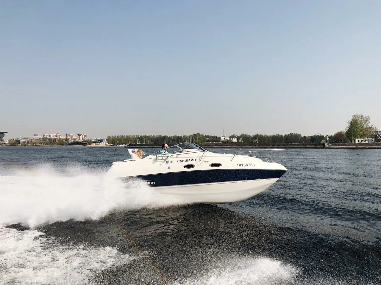 Катер формула 260. Прокатные катера. Яхта байлайнер. Boat day. Стингрей 240cs.