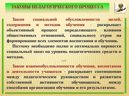 Принципы обучения социальные закономерности