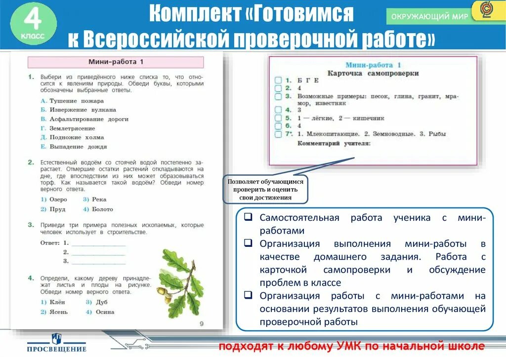 Описание Всероссийских проверочных работ по окружающему миру. Банковские услуги-подготовиться к проверочной работе. Контрольная работа по разделу природа 2 класс окружающий мир. Проверочная работа по окружающему миру 1 класс зеленый наряд земли. Подготовка к впр окружающий мир тест