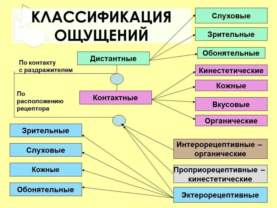 Структура ощущения
