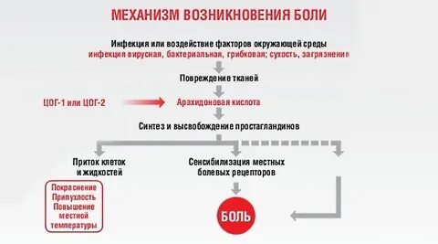 Механизм возникновения боли