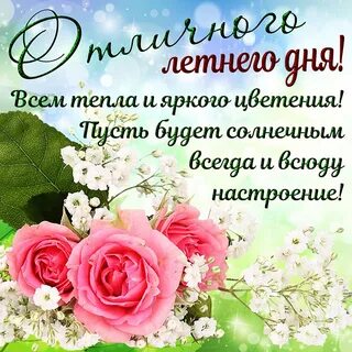 День днч