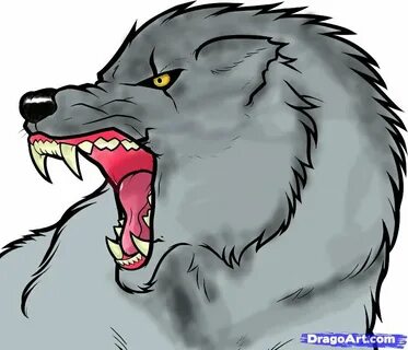 Как нарисовать злого волка